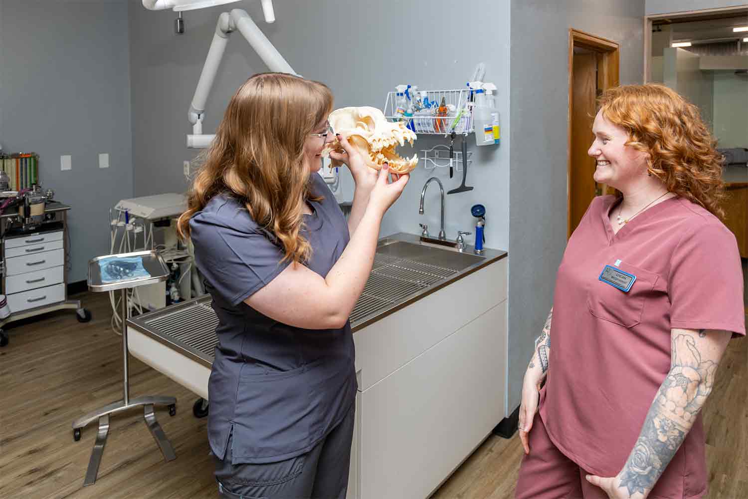 HighQuality Vet Hospital in Fort Collins, CO Harmony Road Veterinary